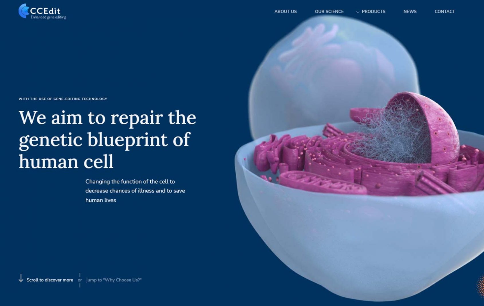 CCEdit 1 - Ahim Effects