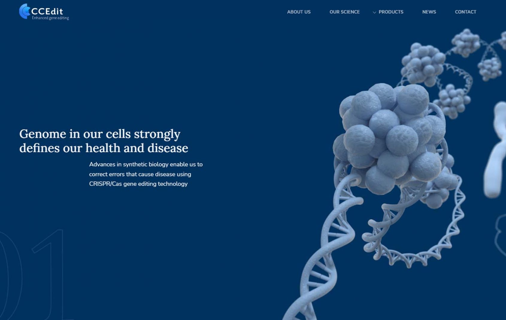 CCEdit 2 - Ahim Effects