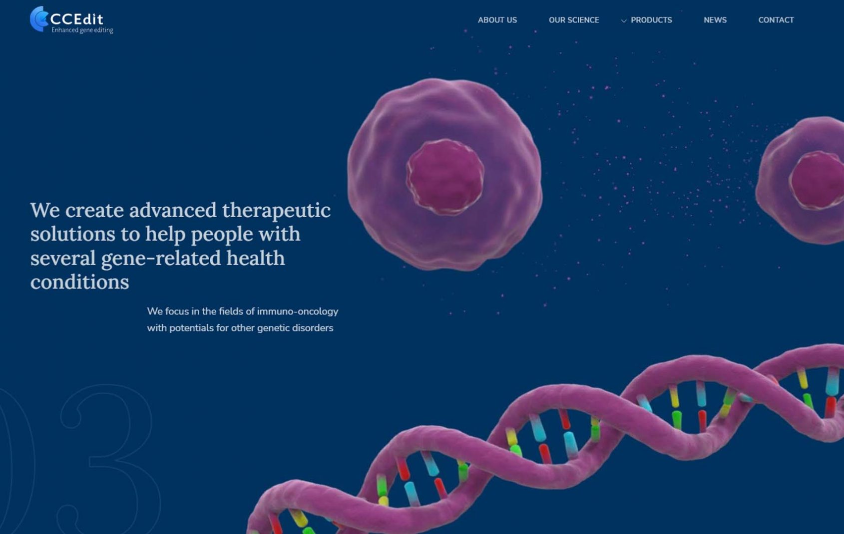CCEdit 4 - Ahim Effects